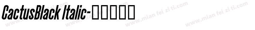 CactusBlack Italic字体转换